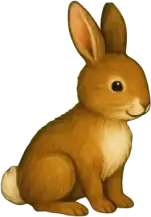 bunny