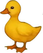 duck